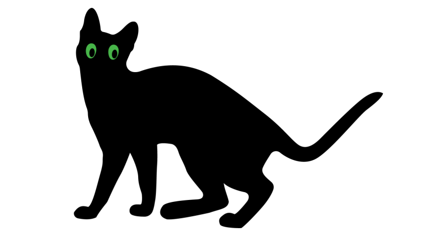Black cat vector png transparent