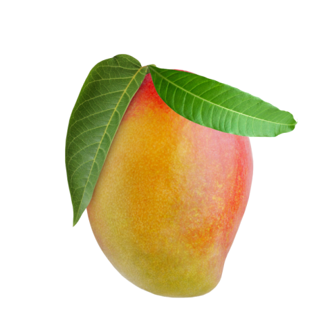 Mango png transparent