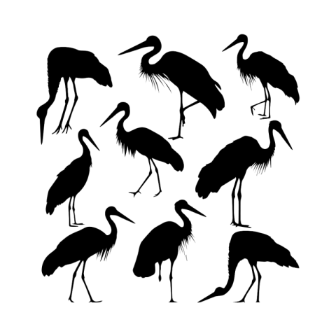 Ostrich png background