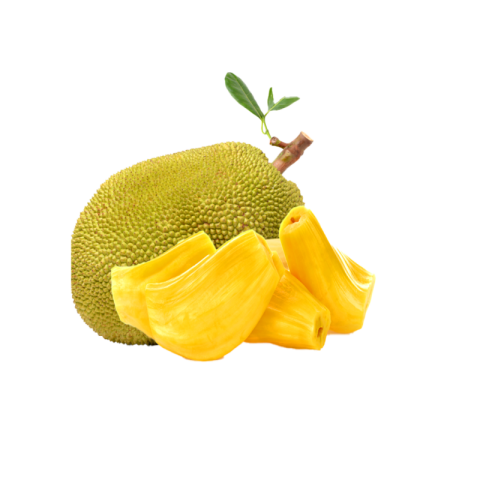 Jackfruit png free download