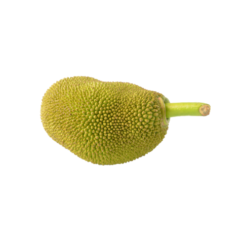 Jackfruit png image download
