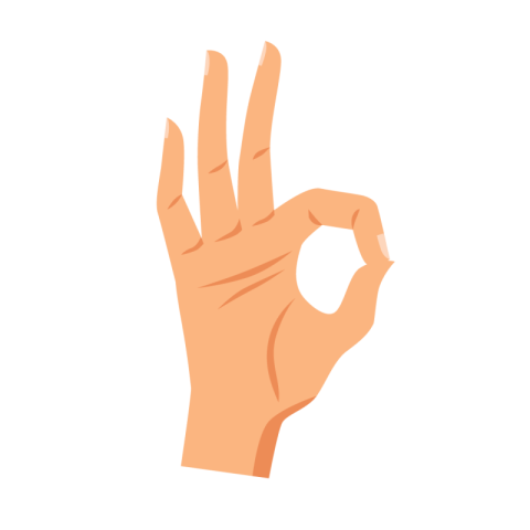 OK Hand Gesture Vector Illustration PNG