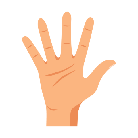Open Hand Palm Gesture Flat Vector PNG
