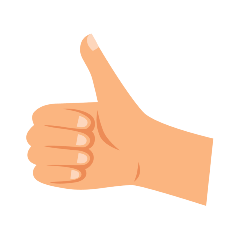 Thumbs Up Hand Gesture Flat Vector PNG