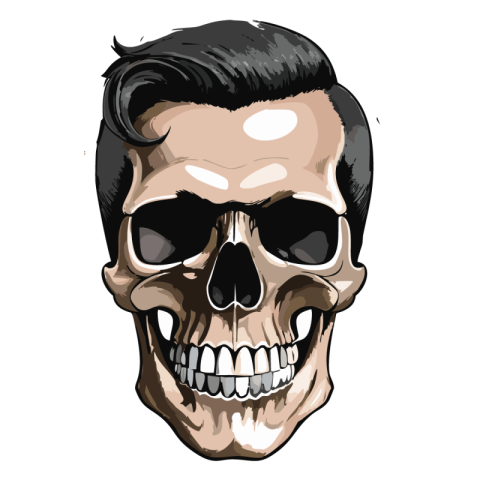 Human Skull