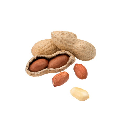 Peanut png transparent