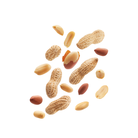 Peanut png free download