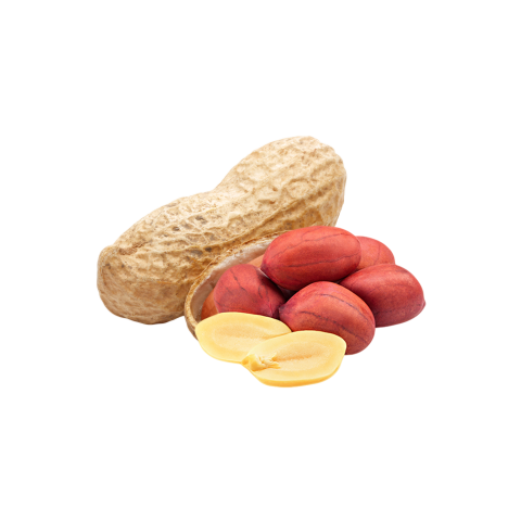 Peanut high quality png free download