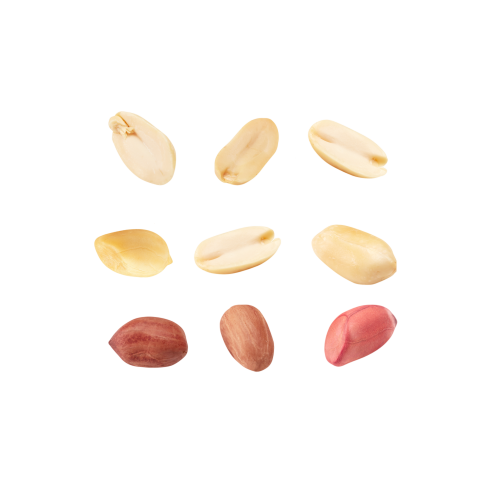 Peanut png download hd