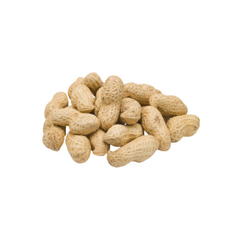 Peanut png transparent background