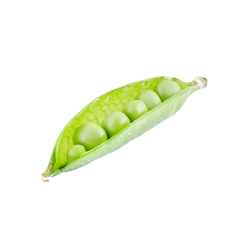 Transparent pea png image download