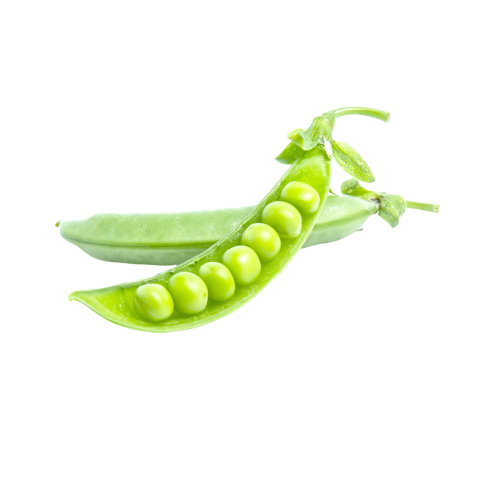 Pea png background