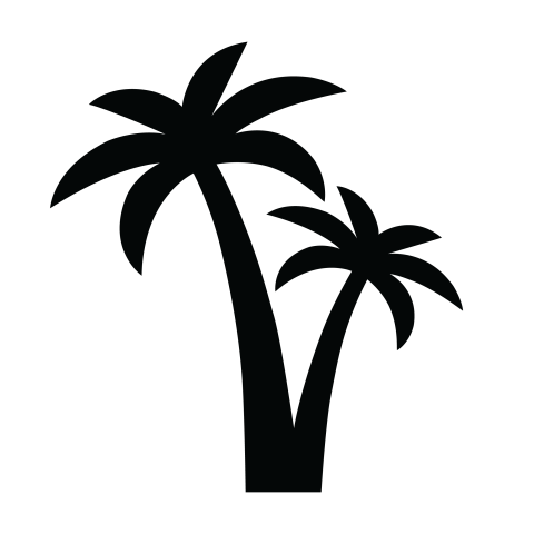 Palm tree vector png download transparent