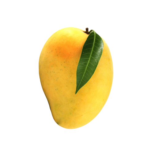 Yellow mango images download