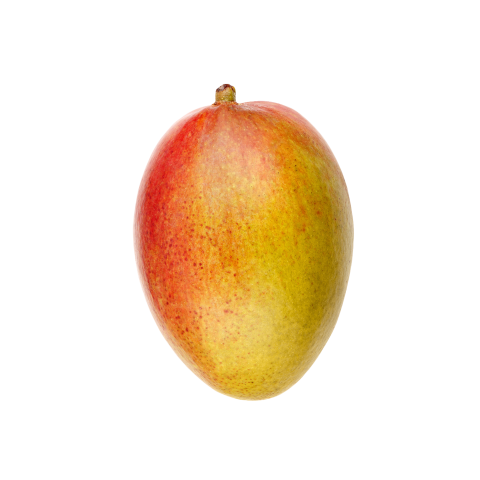 Single mango png images free download