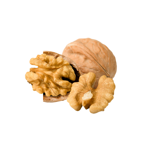 Transparent walnut png transparent background