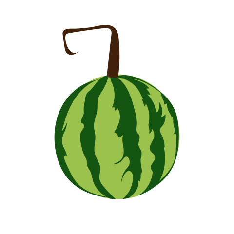 Watermelon illustration png download