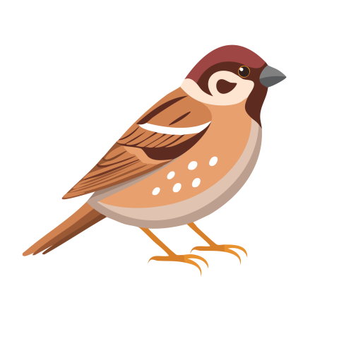 Sparrow illustration png transparent