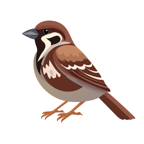 Sparrow illustration png free download