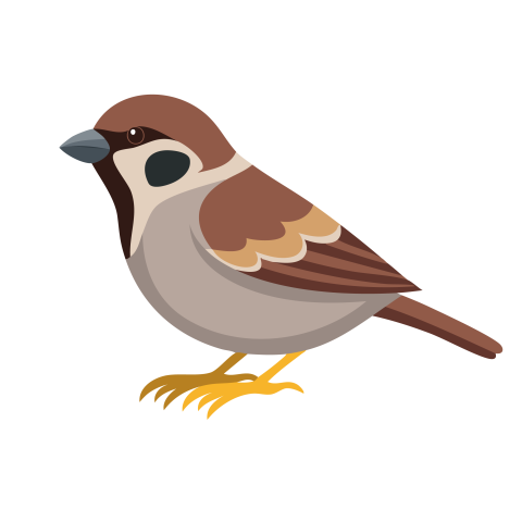 Sparrow illustration png download