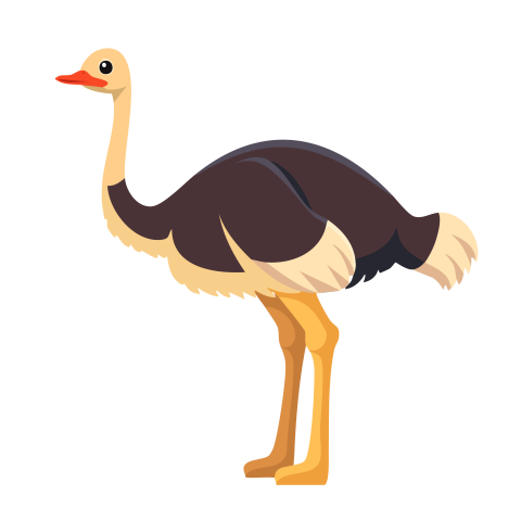 Ostrich illustration png free download