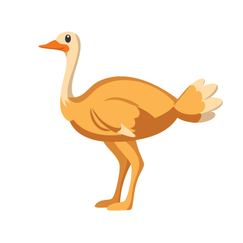 Ostrich illustration image free download