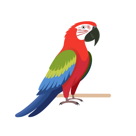 Parrot illustration png background
