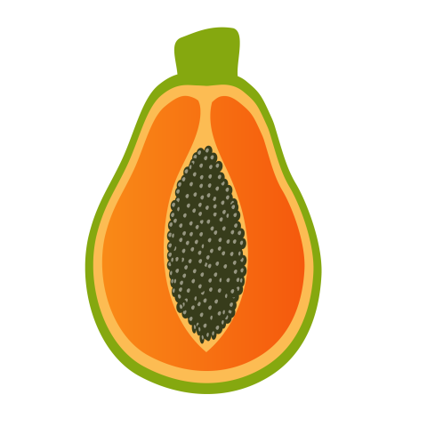 Papaya illustration png free download