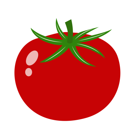 Tomato illustration png image download transparent