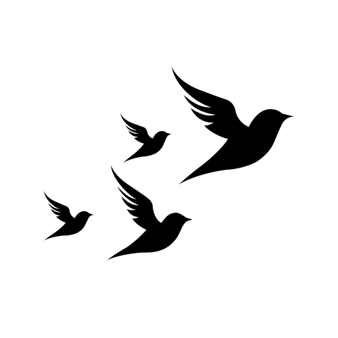 Bird illustration vector png image download