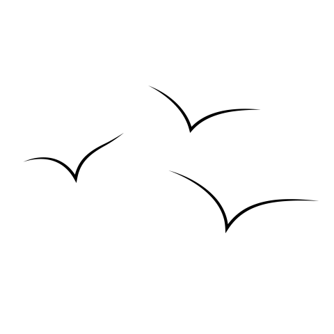 Flying bird vector png