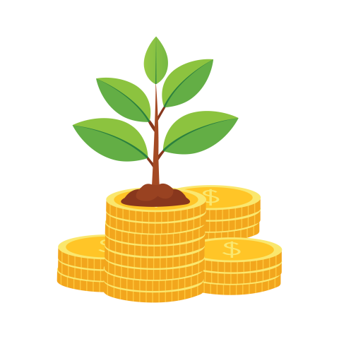 Financial Investment Tree on Coins PNG