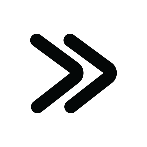 Double Right Arrow PNG Icon
