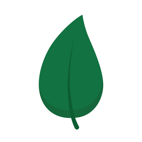 Green Leaf PNG Images Download