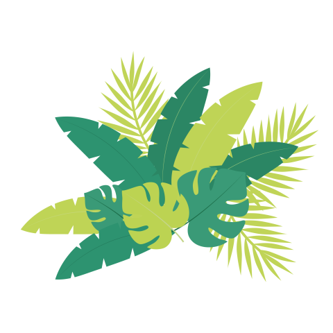 Leaves Arrangement PNG Transparent Background