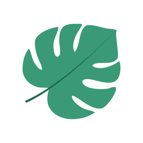 Monstera Leaf PNG Transparent Background