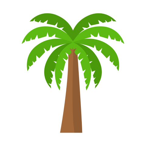 Palm Tree PNG Transparent Background