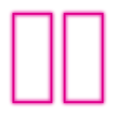 Pink Neon Dual Vertical Frames PNG Transparent